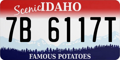 ID license plate 7B6117T