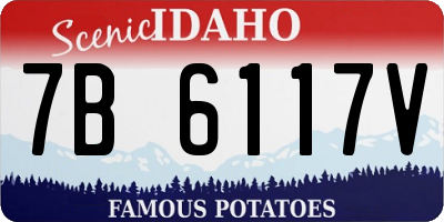 ID license plate 7B6117V