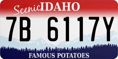 ID license plate 7B6117Y