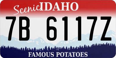 ID license plate 7B6117Z