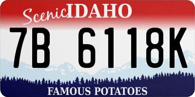 ID license plate 7B6118K