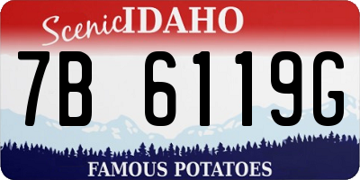 ID license plate 7B6119G