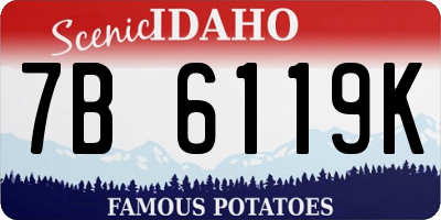 ID license plate 7B6119K