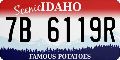 ID license plate 7B6119R
