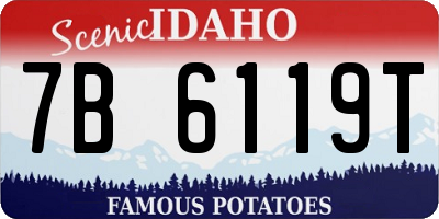 ID license plate 7B6119T