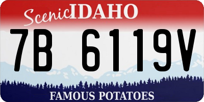 ID license plate 7B6119V