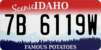 ID license plate 7B6119W