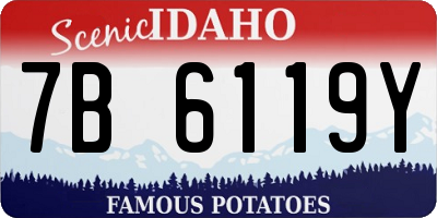 ID license plate 7B6119Y