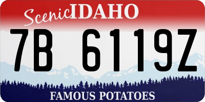 ID license plate 7B6119Z