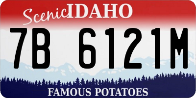 ID license plate 7B6121M