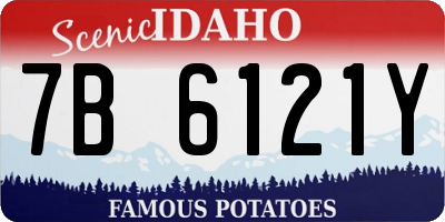 ID license plate 7B6121Y