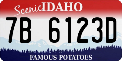 ID license plate 7B6123D