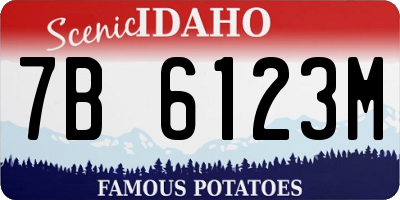 ID license plate 7B6123M