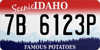 ID license plate 7B6123P
