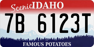 ID license plate 7B6123T