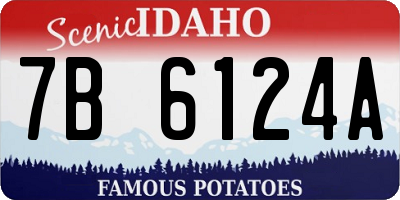 ID license plate 7B6124A