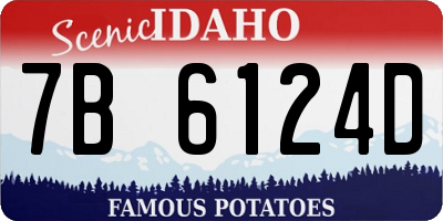 ID license plate 7B6124D