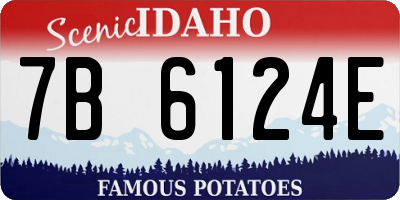 ID license plate 7B6124E
