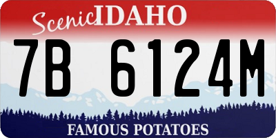 ID license plate 7B6124M