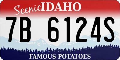 ID license plate 7B6124S