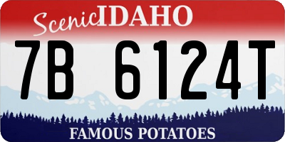 ID license plate 7B6124T