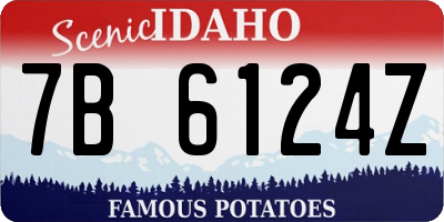 ID license plate 7B6124Z