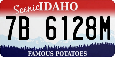 ID license plate 7B6128M