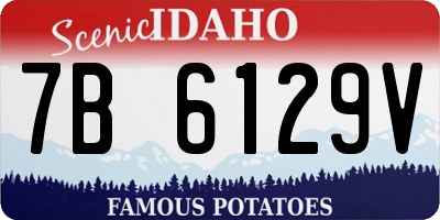 ID license plate 7B6129V