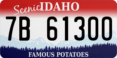 ID license plate 7B6130O