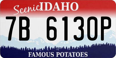 ID license plate 7B6130P