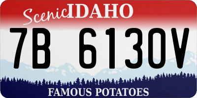 ID license plate 7B6130V