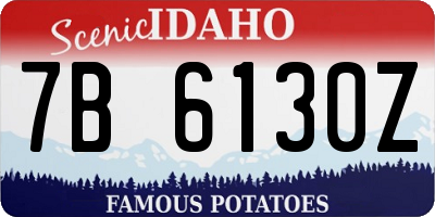 ID license plate 7B6130Z