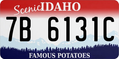 ID license plate 7B6131C