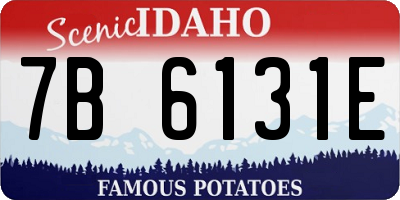 ID license plate 7B6131E