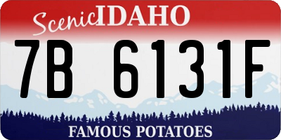 ID license plate 7B6131F