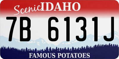 ID license plate 7B6131J