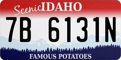 ID license plate 7B6131N