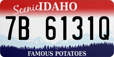 ID license plate 7B6131Q