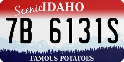 ID license plate 7B6131S