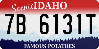 ID license plate 7B6131T