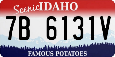 ID license plate 7B6131V