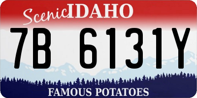 ID license plate 7B6131Y