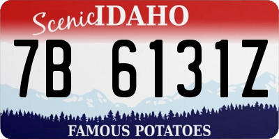 ID license plate 7B6131Z