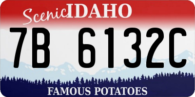 ID license plate 7B6132C