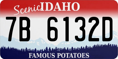 ID license plate 7B6132D