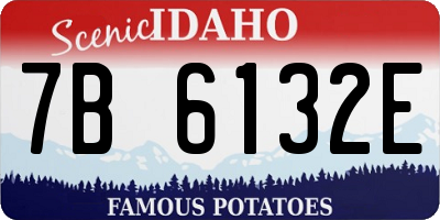 ID license plate 7B6132E