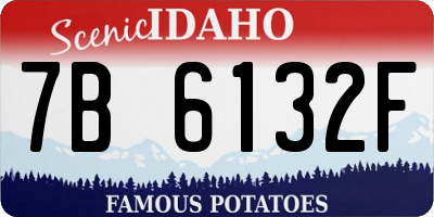 ID license plate 7B6132F
