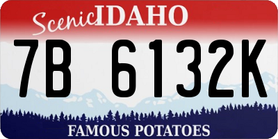ID license plate 7B6132K
