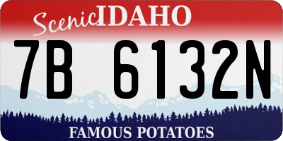 ID license plate 7B6132N