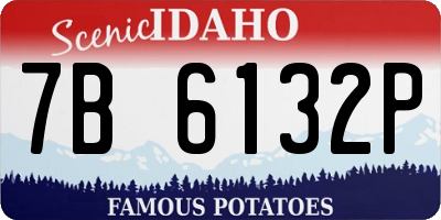 ID license plate 7B6132P